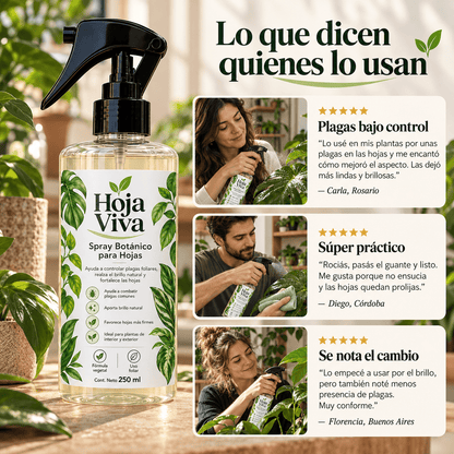 Spray para Hojas