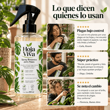 Hoja Viva - Brillo, firmeza y protección contra plagas